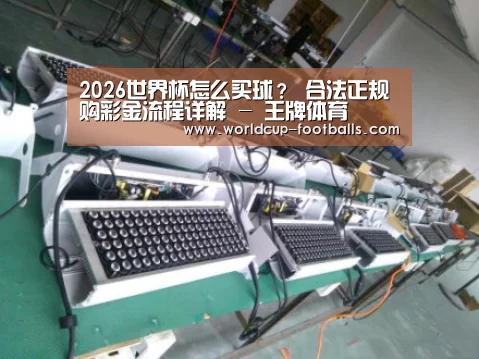 产品名称七(图1)