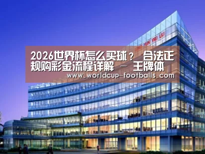 案例展示五