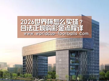 案例展示四