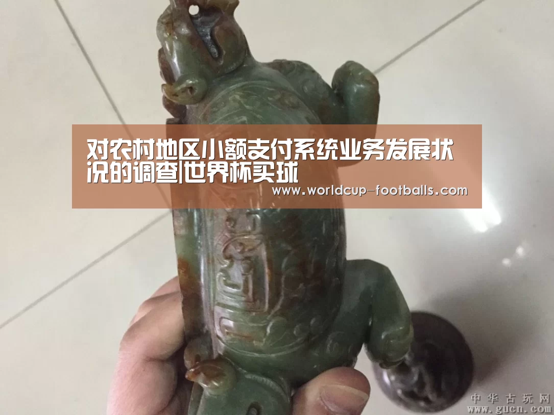 对农村地区小额支付系统业务发展状况的调查|世界杯买球(图1) 世界杯买球平台