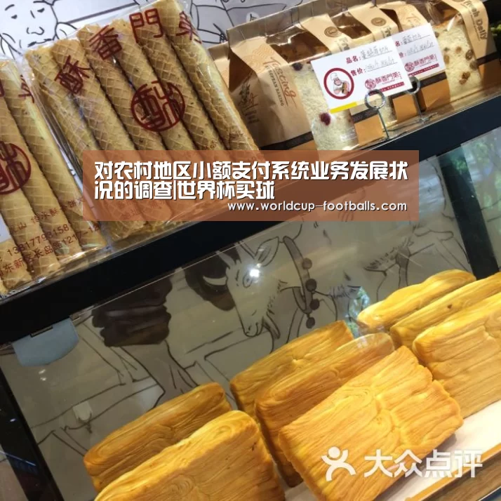 对农村地区小额支付系统业务发展状况的调查|世界杯买球(图4) 世界杯买球网站
