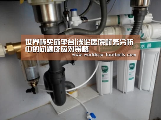 世界杯买球平台|浅论医院财务分析中的问题及应对策略(图2) 世界杯买球