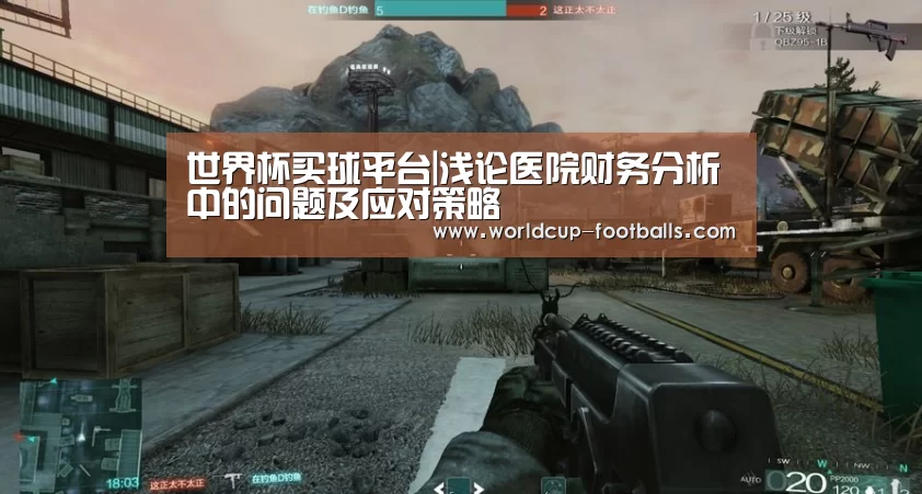 世界杯买球平台|浅论医院财务分析中的问题及应对策略(图1) 世界杯买球网站