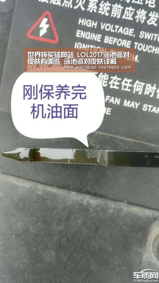 世界杯买球网站_LOL2017泳池派对皮肤有哪些 泳池派对皮肤详解(图2) 世界杯买球