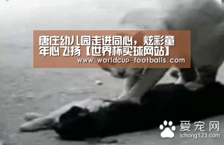 唐庄幼儿园走进同心,炫彩童年心飞扬【世界杯买球网站】(图2) 世界杯买球平台
