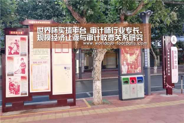 世界杯买球平台_审计师行业专长、规模经济让渡与审计收费关系研究意义(图2) 世界杯买球