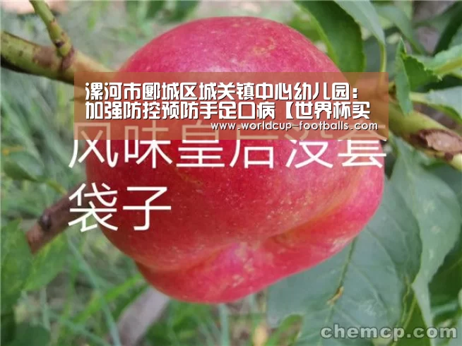 漯河市郾城区城关镇中心幼儿园:加强防控预防手足口病【世界杯买球平台】(图2) 世界杯买球
